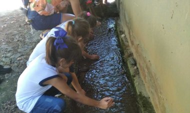 Ubá: Alunos da Rede Municipal visitam nascente