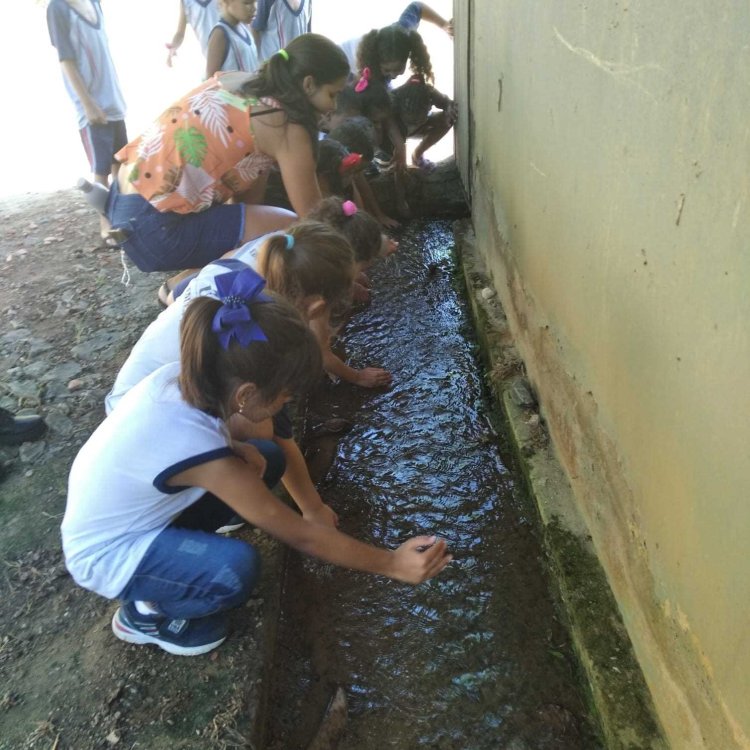 Ubá: Alunos da Rede Municipal visitam nascente