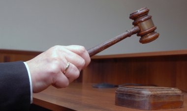 Prefeitura de Ubá realiza leilão de animais apreendidos