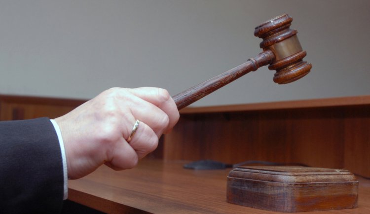 Prefeitura de Ubá realiza leilão de animais apreendidos