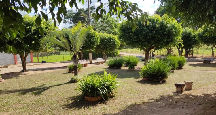 Ubá: Ambiente realiza ações de limpeza pública e revitalização de sinalizações