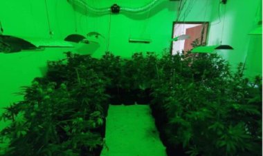 Gaeco prende servidor Público em Cataguases durante a operação Nematoide IV