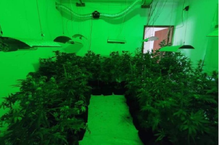 Gaeco prende servidor Público em Cataguases durante a operação Nematoide IV