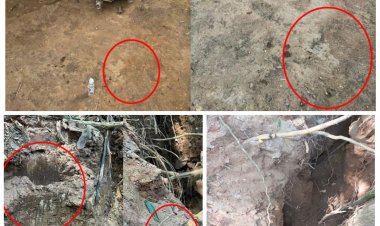 Suspeito de matar jovem é preso em Rio Casca