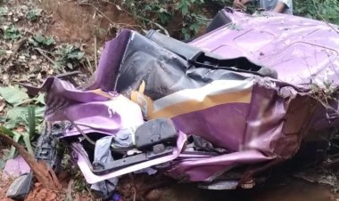 Carreta cai de ponte e motorista morre próximo a Além Paraíba