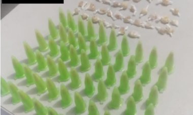 Polícia Militar apreende autor de tráfico de drogas em Ubá