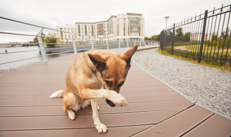 Tribunal de Contas multa Ex-Prefeito por contrato administrativo irregular