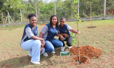 Abertas as inscrições para municípios interessados em participar do Jovens Mineiros Sustentáveis 2024