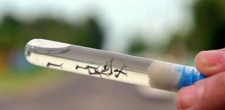 Ubá: Saúde divulga resultado do 4º LirAa de 2023