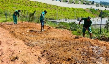 Penitenciária de Muriaé transforma detentos em agricultores: 1,4 Mil mudas abastecem horta comunitária em escola municipal