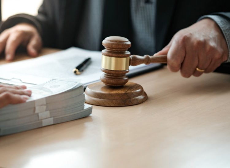 Prefeitura de Ubá realiza leilão de animais apreendidos