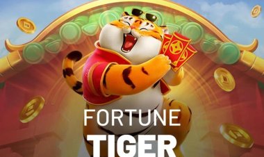 Governo deve liberar Jogo do tigrinho no Brasil neste mês; veja as regras