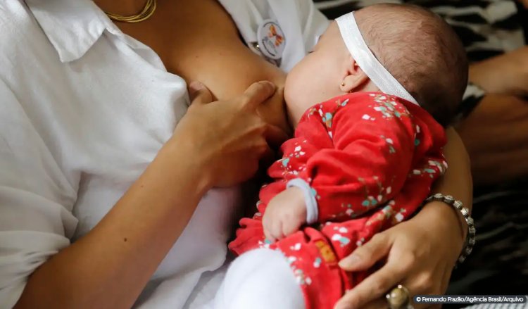 Amamentar mais de um ano reduz risco de câncer de mama
