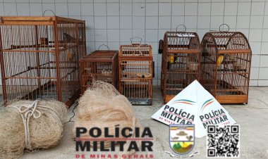Astolfo Dutra: Dois autores são multados por Cativeiro irregular de Fauna Silvestre