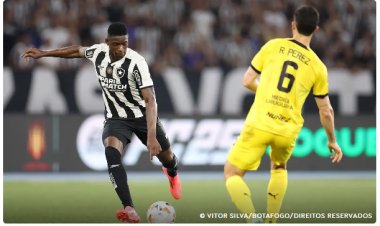 Botafogo busca classificação inédita para final da Libertadores