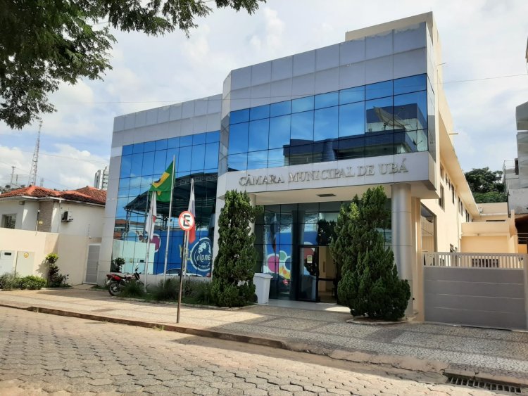 Vereadores são eleitos por sistema proporcional de votação; entenda