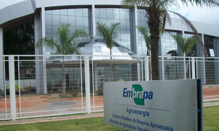 Embrapa abre concurso público para 1.027 vagas