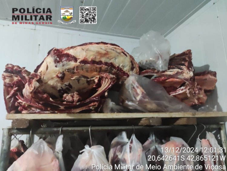 Homem é preso na Zona Rural de Teixeiras por abate clandestino e venda de carnes impróprias para consumo