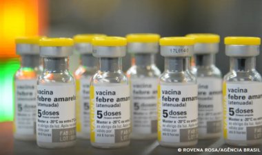 São Paulo confirma primeiro caso de febre amarela em humano em 2025