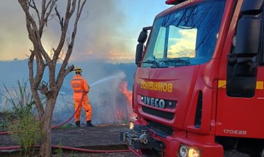 2ª Companhia de Bombeiros em Ubá combate incêndio em vegetação