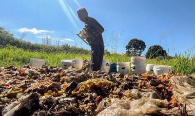 Decisão judicial obriga município de Viçosa a não depositar resíduos sólidos em aterro sanitário que opera irregularmente