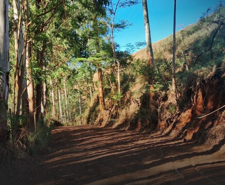 Prefeitura de Viçosa promove melhorias nas estradas rurais
