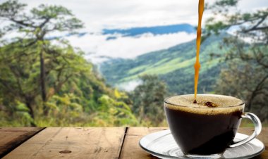 Dia Mundial do Café celebra tradição, economia e paixão pela bebida mais querida do planeta