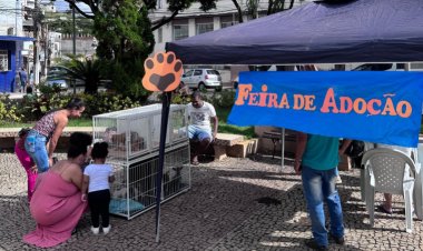 Feira de Adoção e Cadastro para Castração em Rodeiro
