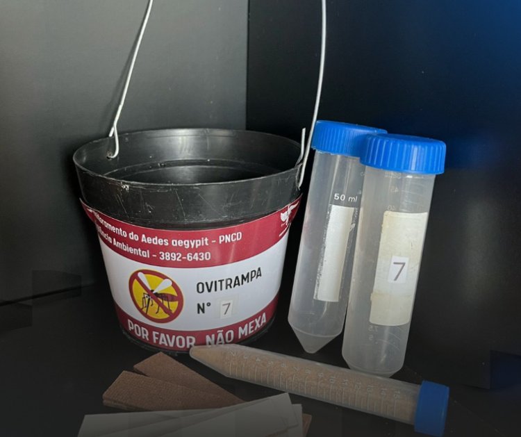 Município de Viçosa utiliza método inovador para identificar sorotipos da dengue