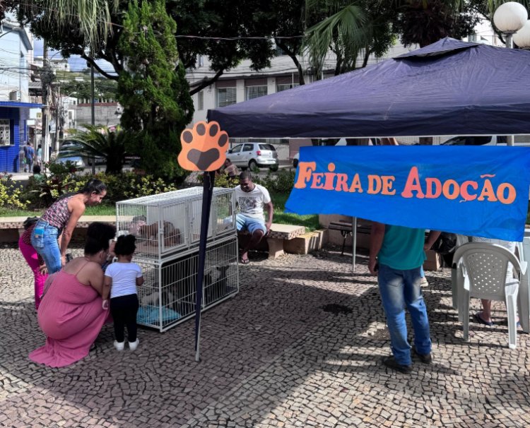 Feira de Adoção e Cadastro para Castração em Rodeiro