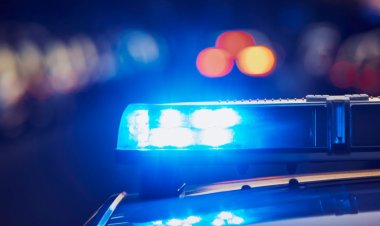 Polícia Militar apreende drogas e munição durante operação em Diamante de Ubá