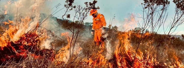 Bombeiros intensificam treinamentos para mais de 300 agentes para o período crítico de incêndios em vegetação em Minas Gerais