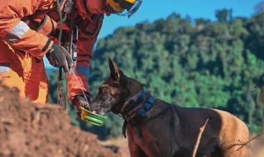 Corpo de Bombeiros Militar de Minas Gerais abre 342 vagas em concurso público com salários que podem chegar a R$ 11 mil