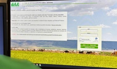 Produtores rurais de Minas Gerais podem emitir documentos sanitários e acessar serviços sem sair de casa