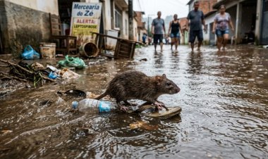Regional de Saúde de Ubá reforça a importância da testagem para o diagnóstico de leptospirose e tratamento adequado